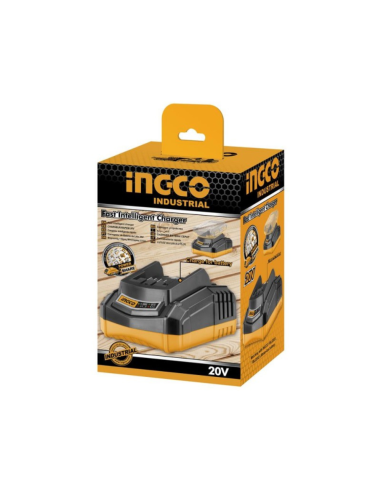 Caricabatterie Portatile 20V 110V-240V Ricarica Rapida Sicura Elettroutensili