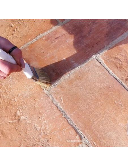 Impregnante Protettivo Antimacchia all'Acqua Pavimenti Cotto Idro Pta Tono 1 litro