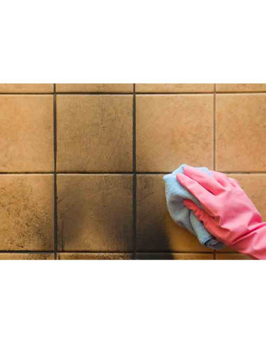 Detergente Sgrassante Universale Pulizia Sporco Grasso Terminator 750 ml