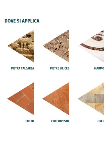 Detergente alcalino concentrato sgrassante per pavimenti da 5 lt Basico