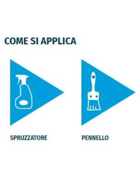 Detergente Azione Igienizzante Pietre Intonaci Macchie Aloni BIO C 5 litri