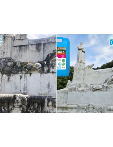 Detergente Azione Igienizzante Pietre Intonaci Macchie Aloni BIO C 5 litri