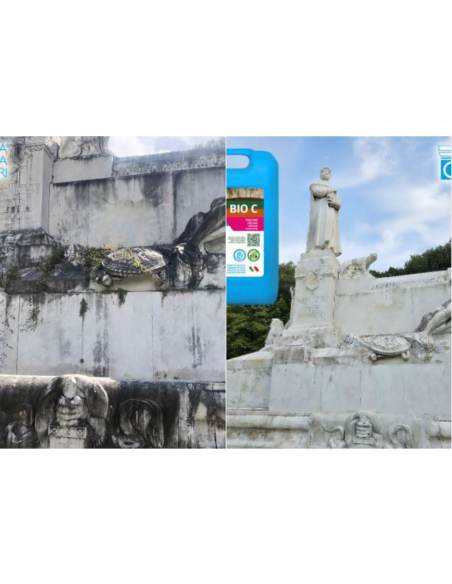 Detergente Azione Igienizzante Pietre Intonaci Macchie Aloni BIO C 5 litri