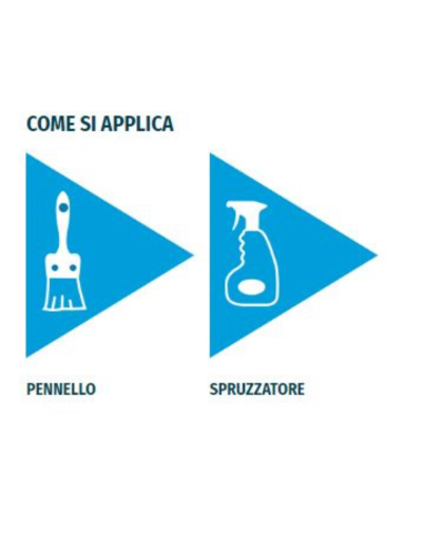 Consolidante a base di silicato di etile a solvente per restauro Silietile 1 lt