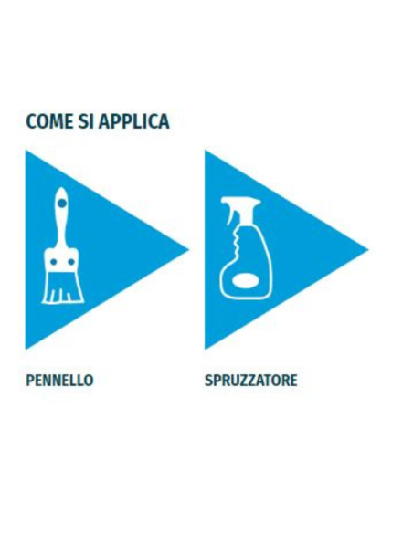 Consolidante a base di silicato di etile a solvente per restauro Silietile 1 lt