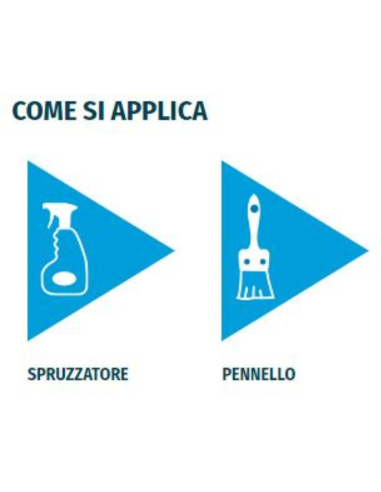 Detergente Azione Igienizzante Pietre Intonaci Macchie Aloni BIO C 1 litro