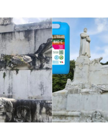 Detergente Azione Igienizzante Pietre Intonaci Macchie Aloni BIO C 1 litro