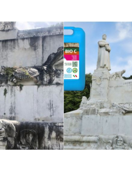 Detergente Azione Igienizzante Pietre Intonaci Macchie Aloni BIO C 1 litro