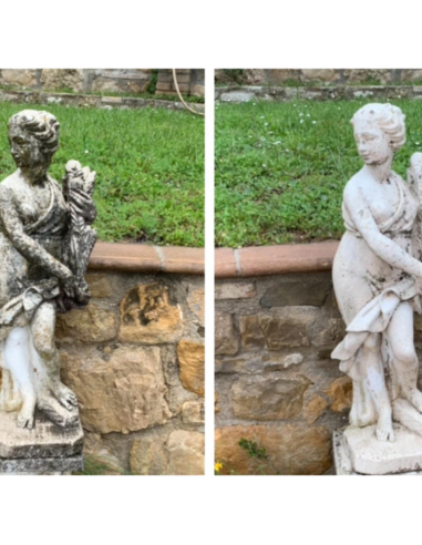 Detergente Azione Igienizzante Pietre Intonaci Macchie Aloni BIO C 1 litro