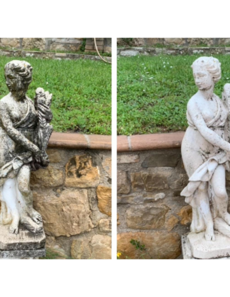 Detergente Azione Igienizzante Pietre Intonaci Macchie Aloni BIO C 1 litro