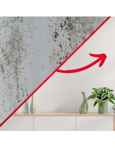 Detergente Sbiancante Macchie Intonaci Mattoni Rinnova Pareti Flaconi 5 litri 2