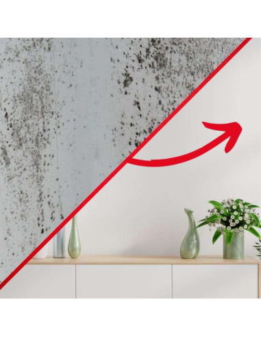 Detergente Sbiancante Macchie Intonaci Mattoni Rinnova Pareti Flaconi 5 litri