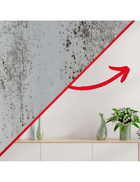 Detergente Sbiancante Macchie Intonaci Mattoni Rinnova Pareti Flaconi 5 litri