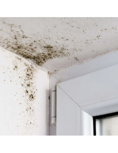 Detergente Sbiancante Macchie Intonaci Mattoni Rinnova Pareti Flaconi 5 litri