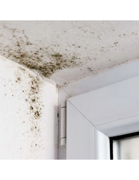 Detergente Sbiancante Macchie Intonaci Mattoni Rinnova Pareti Flaconi 5 litri