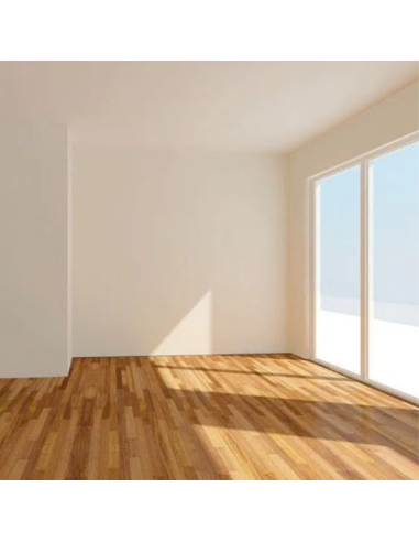 Detergente Sbiancante Macchie Intonaci Mattoni Rinnova Pareti Flaconi 5 litri