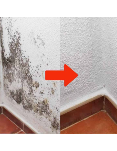 Detergente Sbiancante Macchie Intonaci Mattoni Rinnova Pareti Flaconi 5 litri