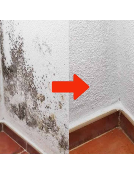 Detergente Sbiancante Macchie Intonaci Mattoni Rinnova Pareti Flaconi 5 litri