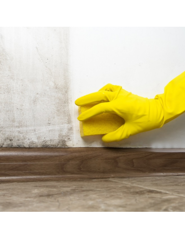 Detergente Sbiancante Macchie Intonaci Mattoni Rinnova Pareti Flaconi 5 litri