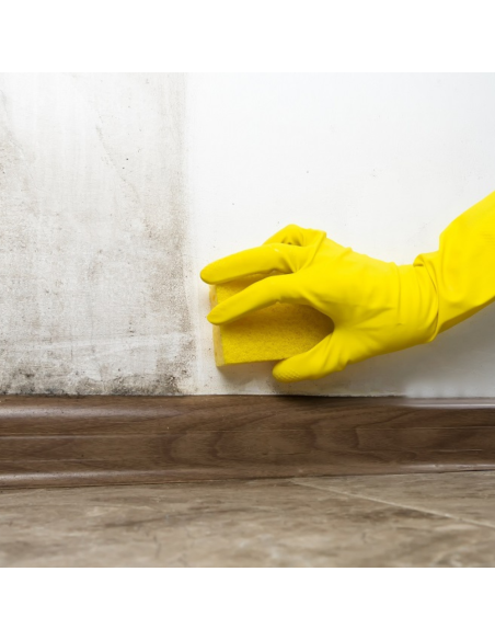 Detergente Sbiancante Macchie Intonaci Mattoni Rinnova Pareti Flaconi 5 litri