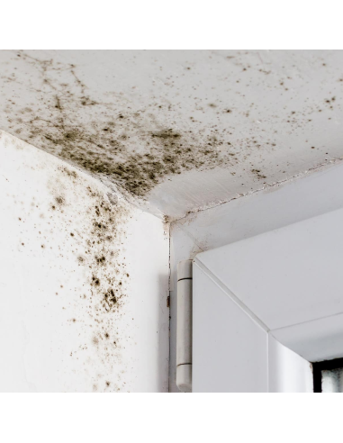 Detergente Universale Profumato Spray sbiancante Sanificante Togli Muffa 500 ml