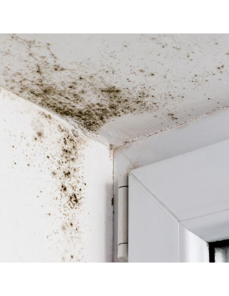 Detergente Universale Profumato Spray sbiancante Sanificante Togli Muffa 500 ml