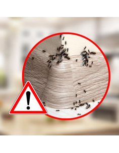 Microgranuli Formiche Insetti Barriera Protettiva Interni Esterni 250 gr Ekostop 2