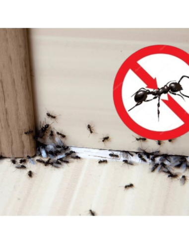 Microgranuli Formiche Insetti Barriera Protettiva Interni Esterni 250 gr Ekostop