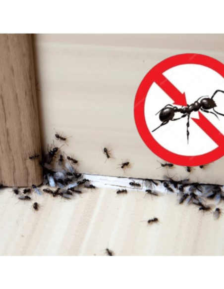 Microgranuli Formiche Insetti Barriera Protettiva Interni Esterni 250 gr Ekostop