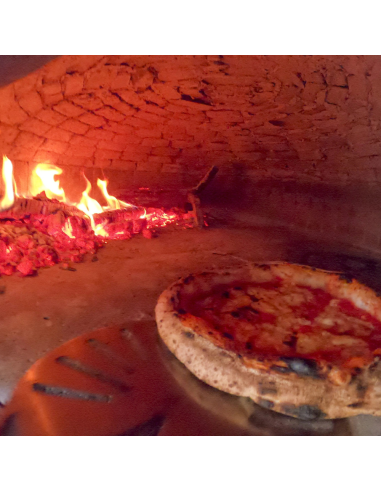 Forno A Legna Artigianale 120 cm Capienza 5 pizze Wave Bianco Azzurro Con Base 