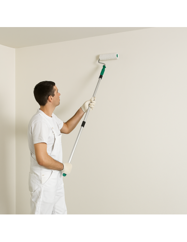 Idropittura Traspirante Ecologica Coprente Semilavabile Interni Bianca Nob