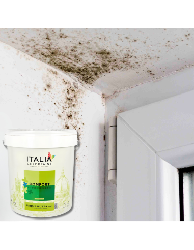 Idropittura Lavabile Traspirante Bianca Interni Umidità Comfort Fermamuffa Plus