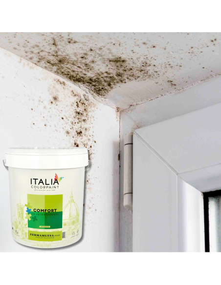 Idropittura Lavabile Traspirante Bianca Interni Umidità Comfort Fermamuffa Plus