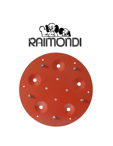 Disco Porta Utensili Abrasivi 5 Fori Diametro 490 mm Maxititina 