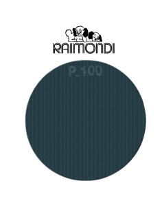 Disco Rete Abrasivo Bifaccia Diametro 450 mm 100 gr  Carburo Silicio  2