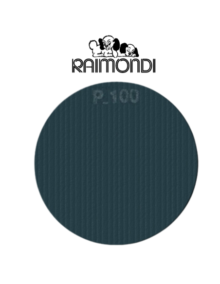 Disco Rete Abrasivo Bifaccia Diametro 450 mm 100 gr  Carburo Silicio 