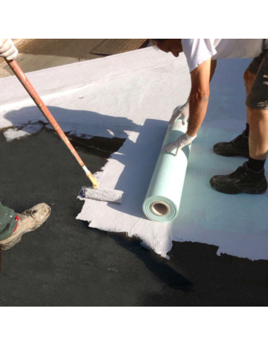 Guaina Liquida Bianca Resingum 2000 Impermeabilizzazione Terrazze Balconi 20 Kg