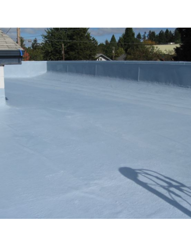 Guaina Liquida Bianca Resingum 2000 Impermeabilizzazione Terrazze Balconi 20 Kg