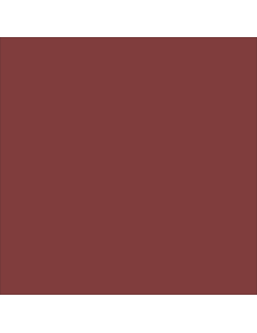 Bloccamianto Incapsulante Elastomerico Certificato Amianto Colore Rosso Tegola - Italia ColorPaint 2