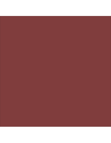 Bloccamianto Incapsulante Elastomerico Certificato Amianto Colore Rosso Tegola Italia ColorPaint - foto 2