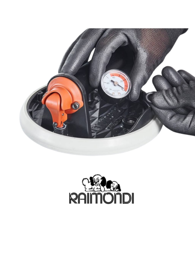 Ricambio Per Ventosa Vacuum Raimondi RV175 Kit Testata + Pistone e Flacone Olio
