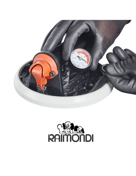 Ricambio Per Ventosa Vacuum Raimondi RV175 Kit Testata + Pistone e Flacone Olio