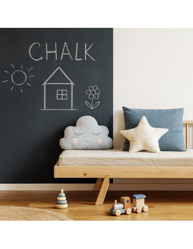 Smalto Ecologico Effetto Lavagna Colore Nero Finitura Opaca Formato 0.5L Ecolux