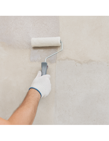 I Pre Trattamenti Primer Alcafix Isolante Supporti Alcalini Colore Trasparente