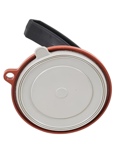 Ventosa Monopatta Piastrelle Materiali Superfici Lisce Strutturate Medusa