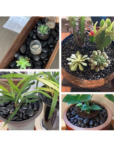 Ciottoli Nero Ebano Pietre Naturali Decorativi Giardini Aiuole Vasi