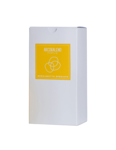 Diffusore Ambiente Bastoncini Fragranza Intensa Aroma Casa Profumo 500 ml