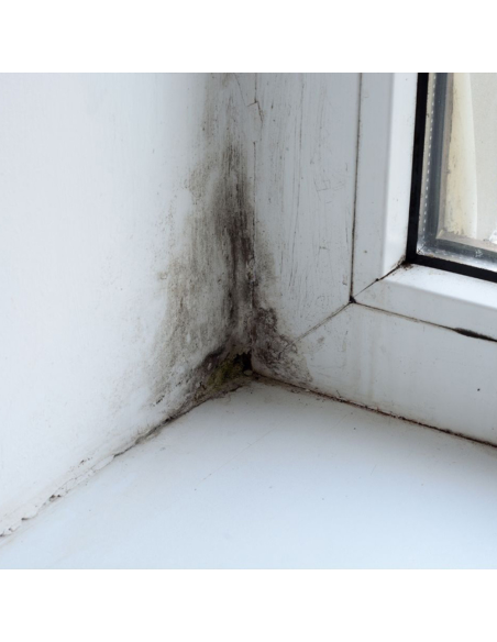 Protettivo Trasparente Previene Microrganismi su Superfici N.AG PLUS 1 litro