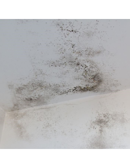 Protettivo Trasparente Previene Microrganismi su Superfici N.AG PLUS 1 litro