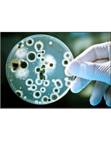 Protettivo Trasparente Previene Microrganismi su Superfici N.AG PLUS 1 litro